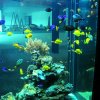 Ansicht des neuen Meerwasseraquariums